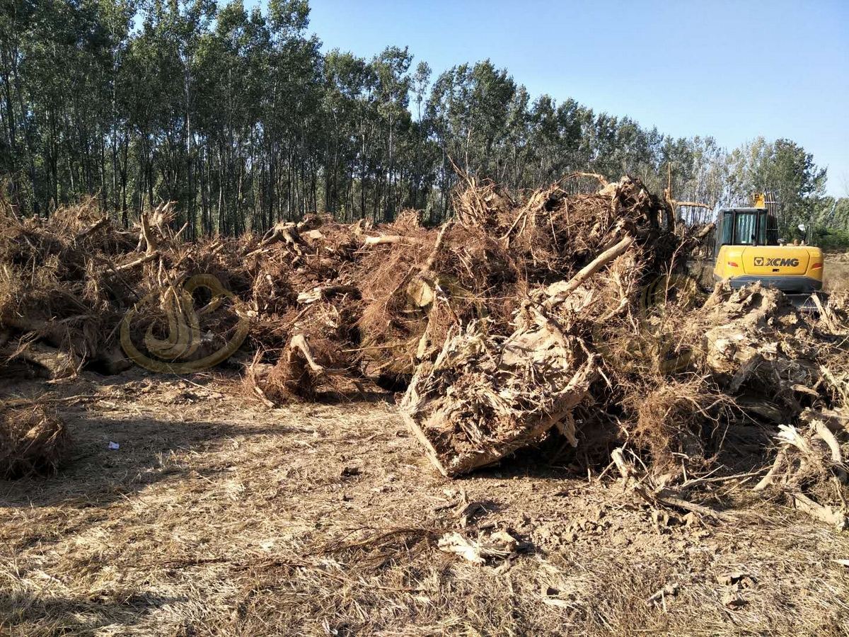 郑州金鹏树根削片机器解决大尺寸硬质木料预粉碎难题